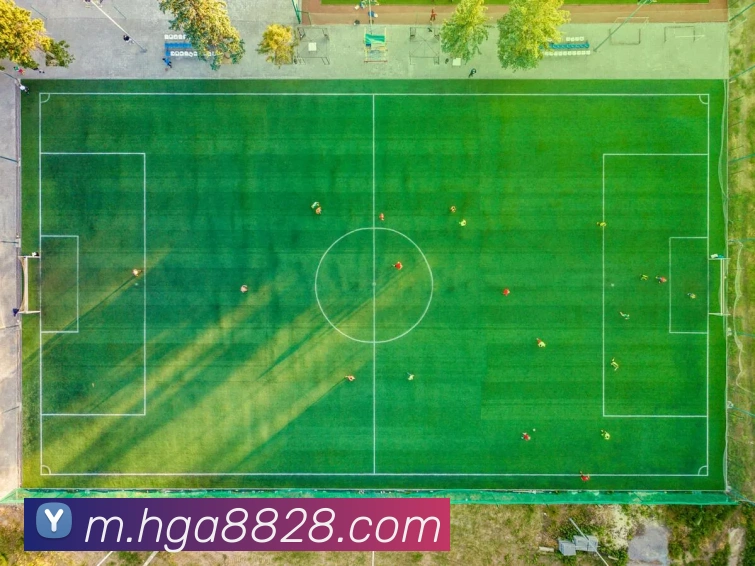 奖项图1